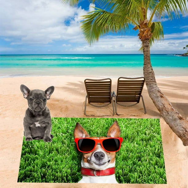 TopLLC Storage Bins Dog Themed Beach Towel Beach Towel Balls Gifts 30x60in Large Beach Towel Quick Fast Dry Absorbent Lightweight Sand Free Bath