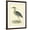 Brown Frame, variant on Art.com Vintage Night Heron Art Print by Morris, 12" x 16"