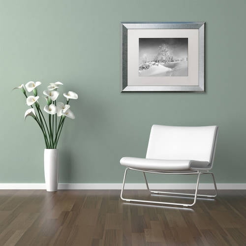 Trademark Fine Art "Dressed For Winter B&W" Canvas Art by Philippe Sainte-Laudy, White Matte, Silver Frame