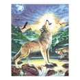 thumbnail image 2 of CPN11 | Colour Pencil by numbers™ 13pc 8.75" x 11.75" Wolves by Stream Project, 2 of 2