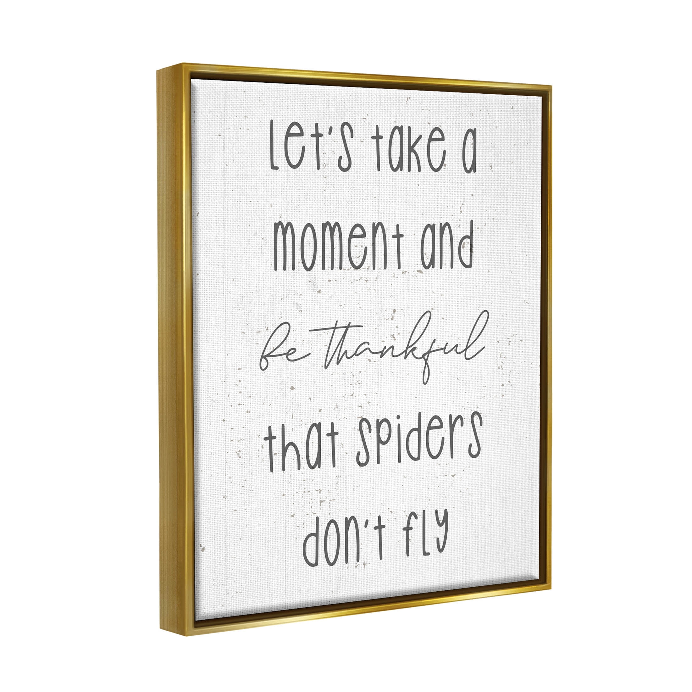 Stupell Industries Spiders Don't Fly Humor Graphic Art Metallic Gold Floating Framed Canvas Print Wall Art, Design by Daphne Polselli