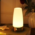 thumbnail image 1 of ZHAOCHENG Luz nocturna LED retro para el hogar, pequeña luz LED inalámbrica con sensor de movimiento PIR para interiores y exteriores, funciona a pilas para dormitorio, pasillo y cocina., 1 of 5