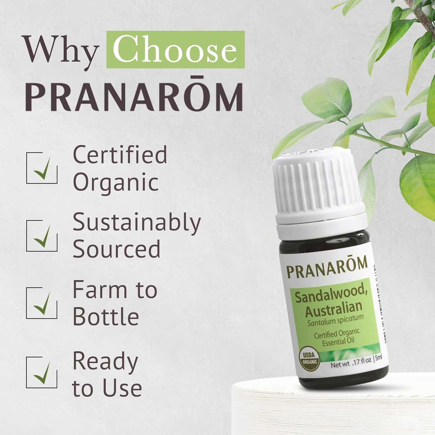 Pranarom Organic Australian Sandalwood Essential Oil, 5 mL