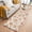 Beige, variant on Rectangle Area Rugs 2 x 3 Ft, Peach Non-Slip Residential Carpet, Spring Floral Green Leaf Botanical Pink Fruit Rustic Indoor Crawling Mats Runner Rugs for Living Room/Dining Room/Bedroom