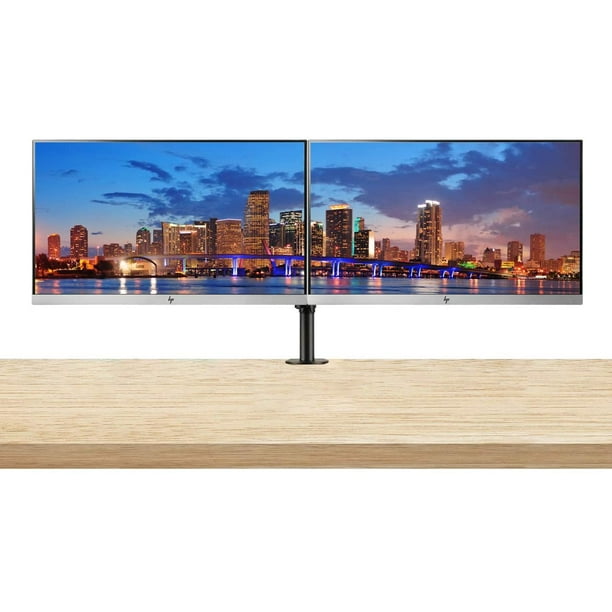 HP EliteDisplay E223 21.5 Inch IPS LED Backlit Monitor 2-Pack with Dual