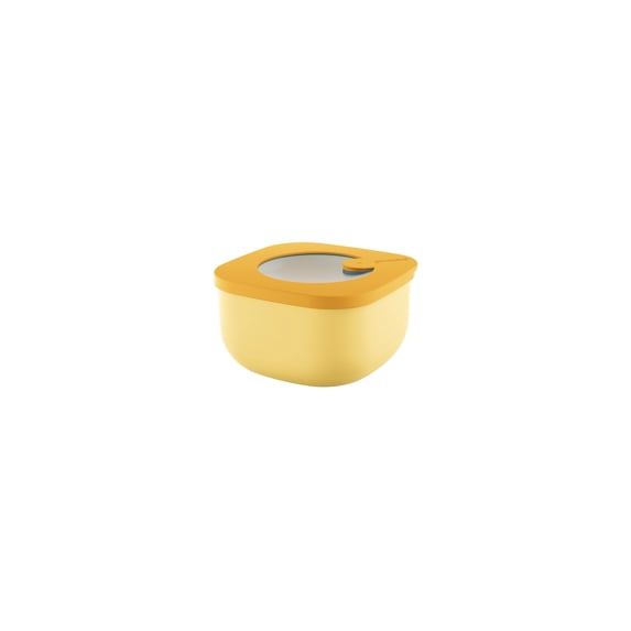 Shallow Airtight Containers 450cc Store & More