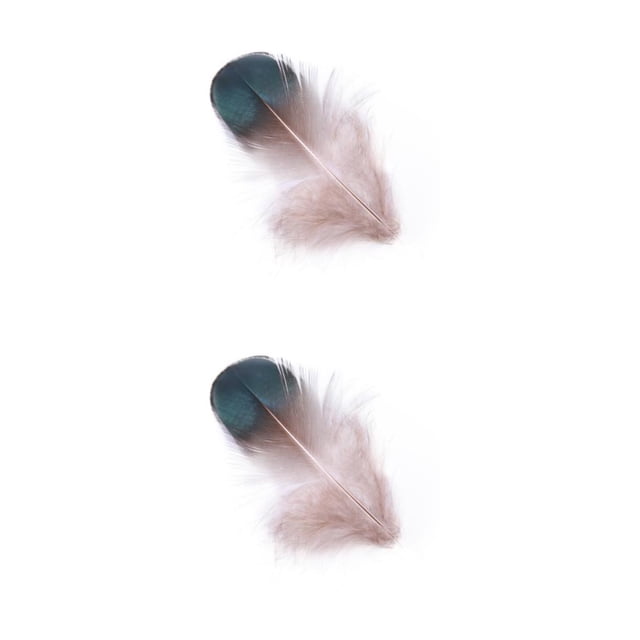 Inteprter 50X Feather Head Ornament Wedding Decorative Decor Decoration Home Long-lasting Embellishment Elegance Como se muestra 2Conjunto