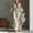 Beige, variant on Morttic Women's Summer Vacation Beach Feather Print V-Neck Flowy Maxi Dress – Waist-Cinched Batwing Sleeve Loose Dress Beige,S