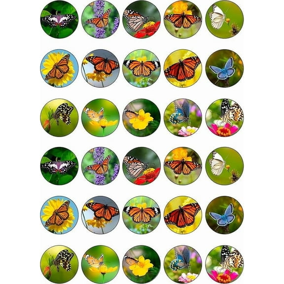30 x Edible Cupcake Toppers Themed of Butterfly Collection of Edible Cake Decorations | Uncut Edible on Wafer Sheet