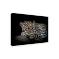 thumbnail image 4 of Trademark Fine Art Nauzet Baez Photography Leopard Resting Canvas Wall Art, 4 of 4