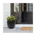 thumbnail image 5 of Black MgO Round 12.2in. H Outdoor Planter, 5 of 8