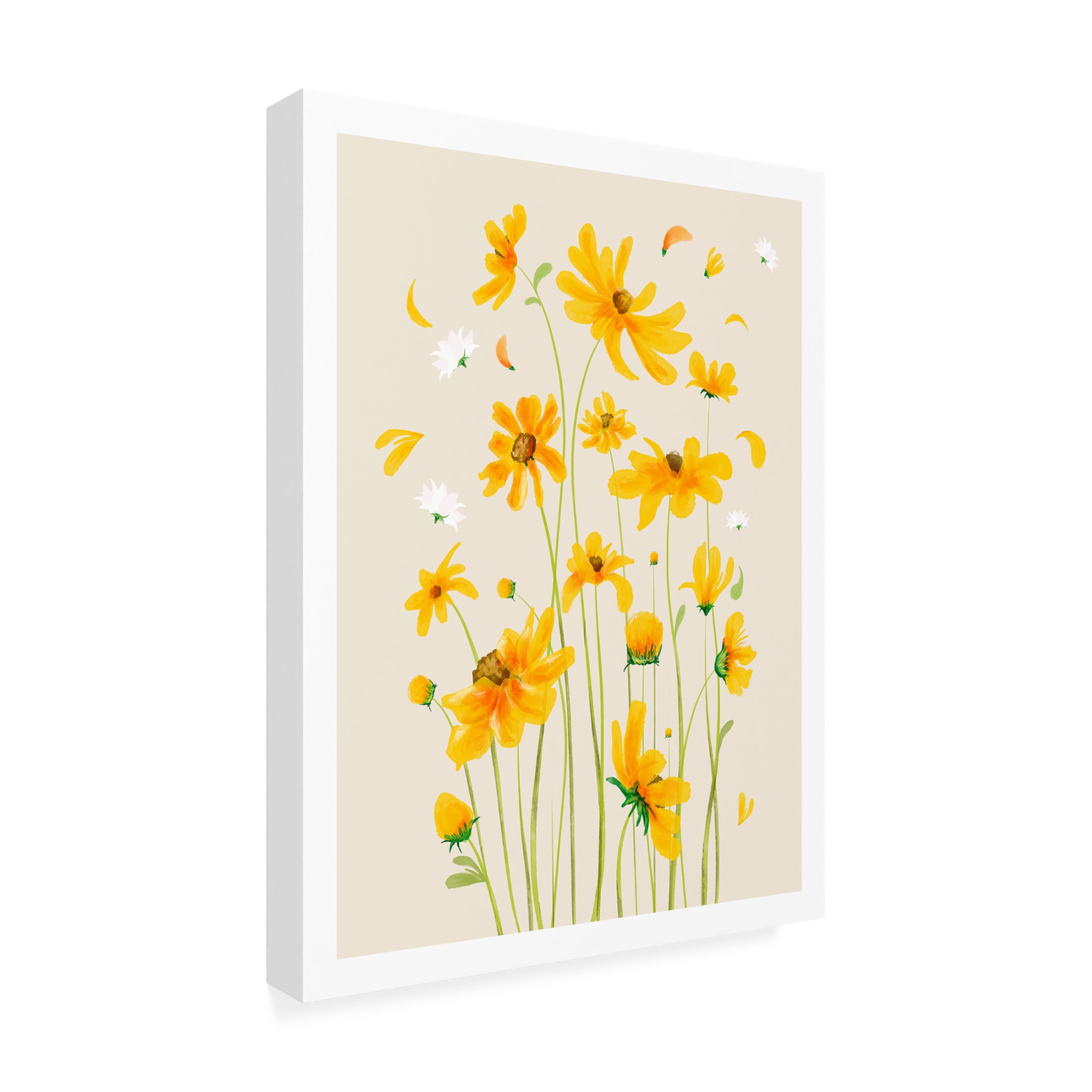 Trademark Fine Art Emel Tunaboylu Rectangle 8 Canvas Wall Art