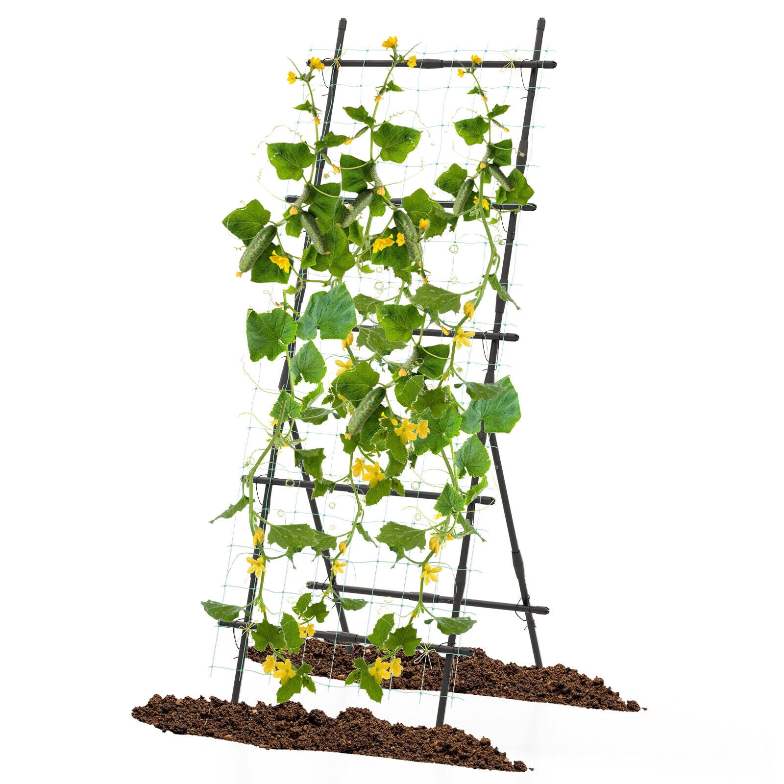 Amijoy 74" Garden Cucumber Trellis for Plant Climbing w/ PE-Coated Frame, Trellis Net