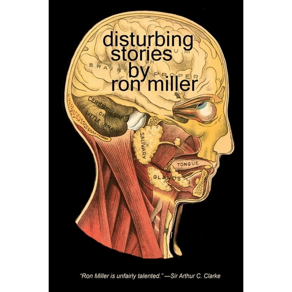Disturbing Stories, (Paperback)