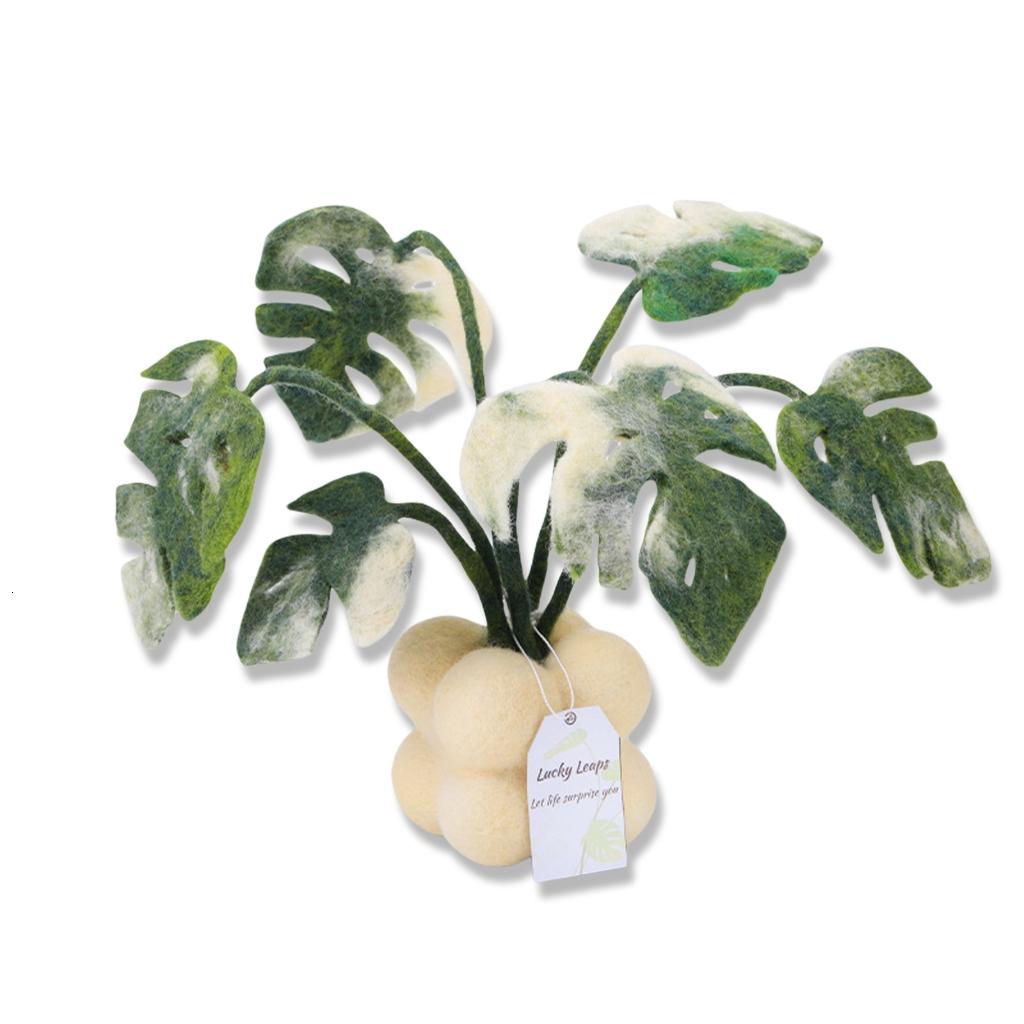 Rvaymup Monstera Plant Needle Felting Set with Felting Needle Instruction Felting Pad