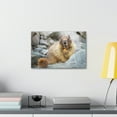 thumbnail image 3 of Funny Yellow Bellied Marmot Silly Yellow Bellied Marmot Scene Outdoor Wall Art Ready to Hang Unframed, 3 of 18