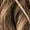 Brown, variant on Women V Neck Long Sleeve Shirts Casual Fall Tops Light-Weight Tunic Sweaters Fashion Tops 2025