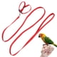 thumbnail image 1 of Correa Arnés Para Pájaros Correa Para Loros Cuerda Antimordida De Nailon Ajustable Para Pájaros Para Adiestramiento Al Aire LibreRouge, 1 of 7