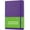 Purple, variant on Skyline Accounting Ledger Book