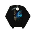 thumbnail image 1 of Harry Potter Mens Smiles At Hogwarts Sweatshirt, 1 of 3