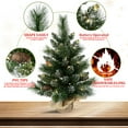thumbnail image 4 of Mayhihi 2FT Pre-Lit Small Christmas Tree with Pine Cone, Pine Needles & PVC Branches, Burlap Base, 4 of 6