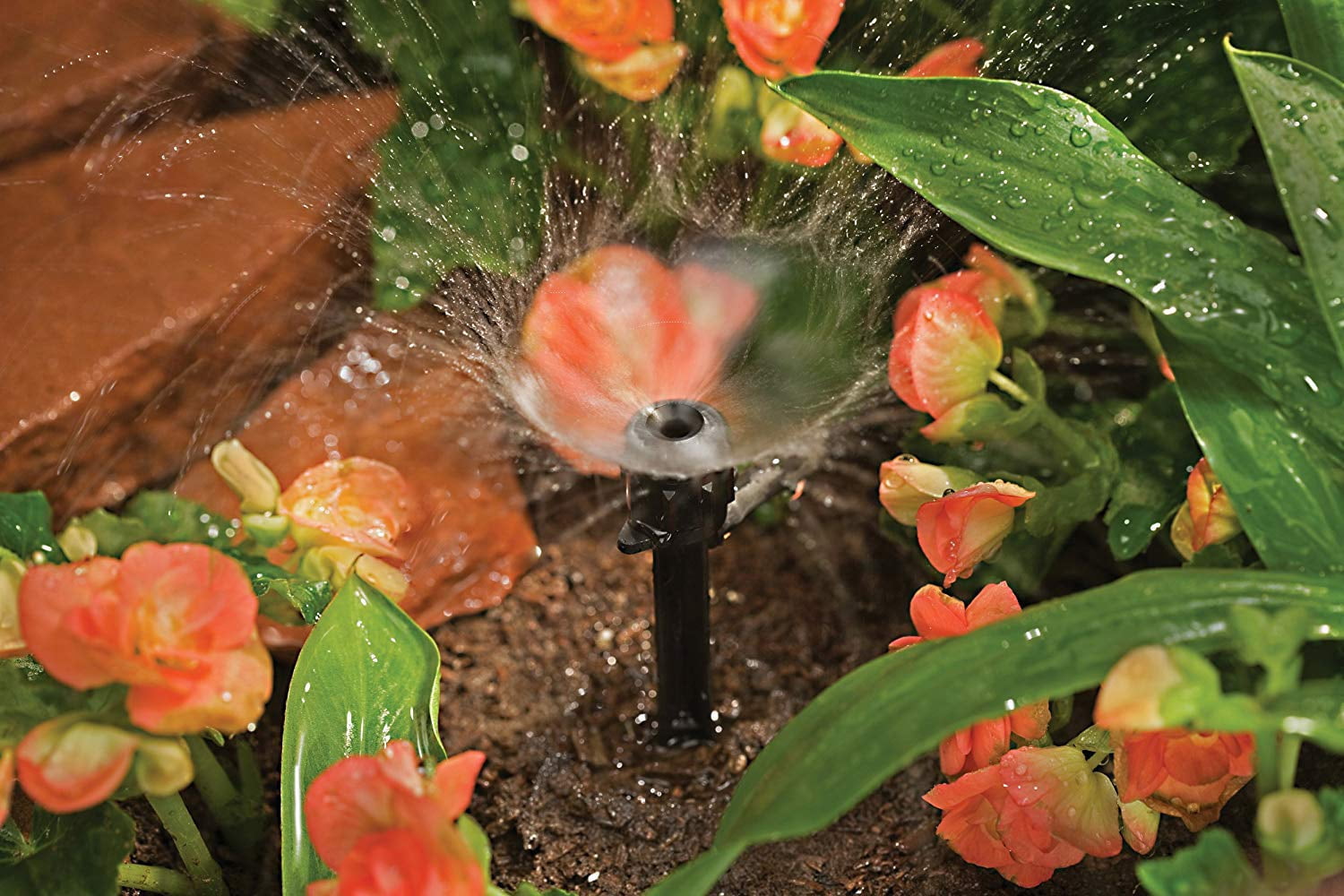 Orbit Micro-Bubbler Tropfbewässerungs-Set – Komplett, Für Beete, Sträucher Und Gärten, Wassersparend