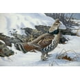 thumbnail image 2 of Goebel, Wilhelm 32x23 Gold Ornate Wood Framed with Double Matting Museum Art Print Titled - Ruffed Grouse, 2 of 4