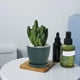 thumbnail image 4 of Macetas de plástico de 8,9 cm con platillos: Macetas modernas para interior y exterior con orificios de drenaje para suculentas,hierbas y cactus, 4 of 6