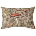 thumbnail image 2 of Coolnut Mushroom Brown Plush Pillowcase, Luxury Soft King Pillow Case for Hair and Skin, Standard Size Pillow Covers with Zipper Closure, 20x26in Home Decor Gifts, 2 of 7