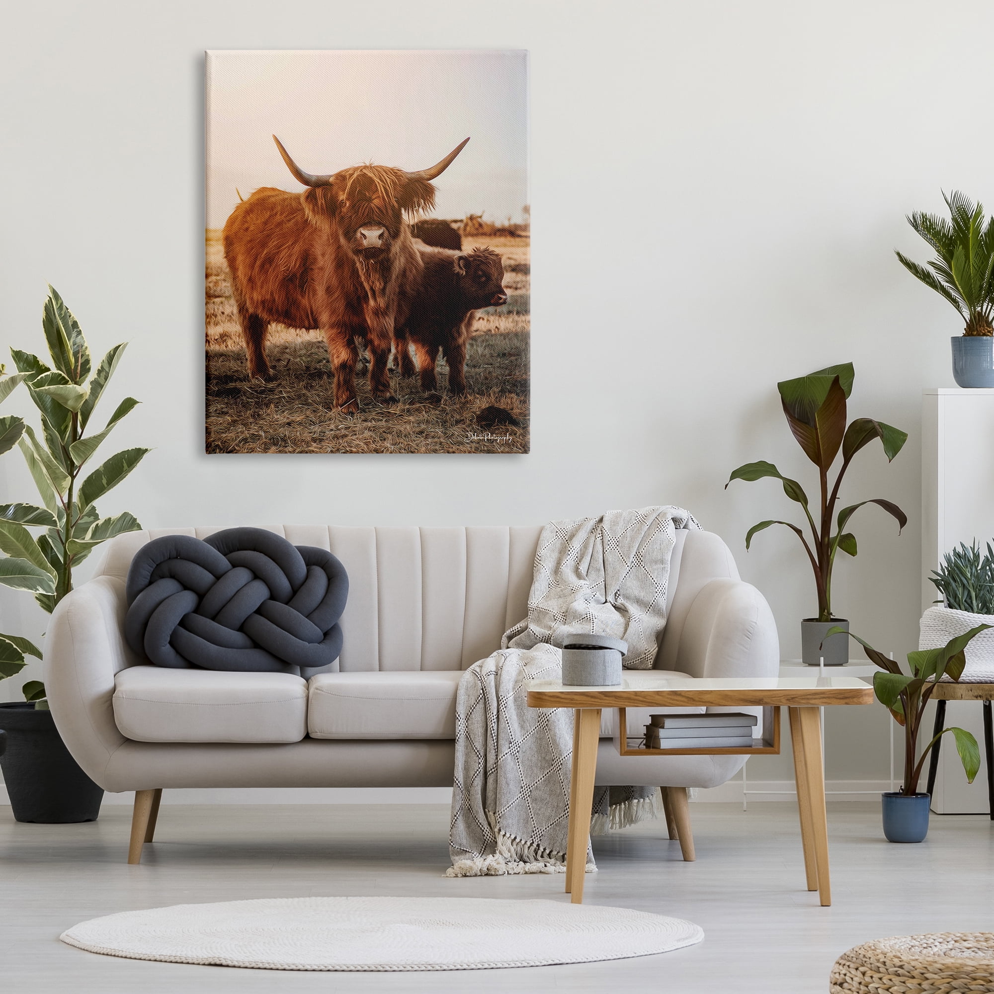 Stupell Industries Longhorn Highland Cattle Cow Warm Sunrise Morning Photograph Gallery Wrapped Canvas Print Wall Art, Design by Dakota Diener