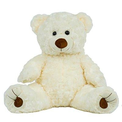 teddy bear with voice recording of loved one