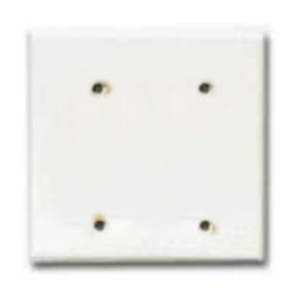 2137W-BOX 2 Gang White Blank Plate