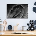 thumbnail image 4 of Epic Art 'Rolled Up' by Epic Portfolio Acrylic Glass Wall Art, 16"x12", 4 of 8