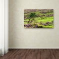 thumbnail image 4 of Trademark Fine Art "Patterns" Canvas Art by Philippe Sainte-Laudy, 4 of 4