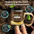 thumbnail image 2 of HauiWeiLyai Soil Activator, Professional Bone Meal Fertilizer, Dirt Health Booster, Liquid Fertilizer for Indoor & Outdoor Plants for Raised Garden Beds, Potting Mix, and Seedling Compost, 2 of 6