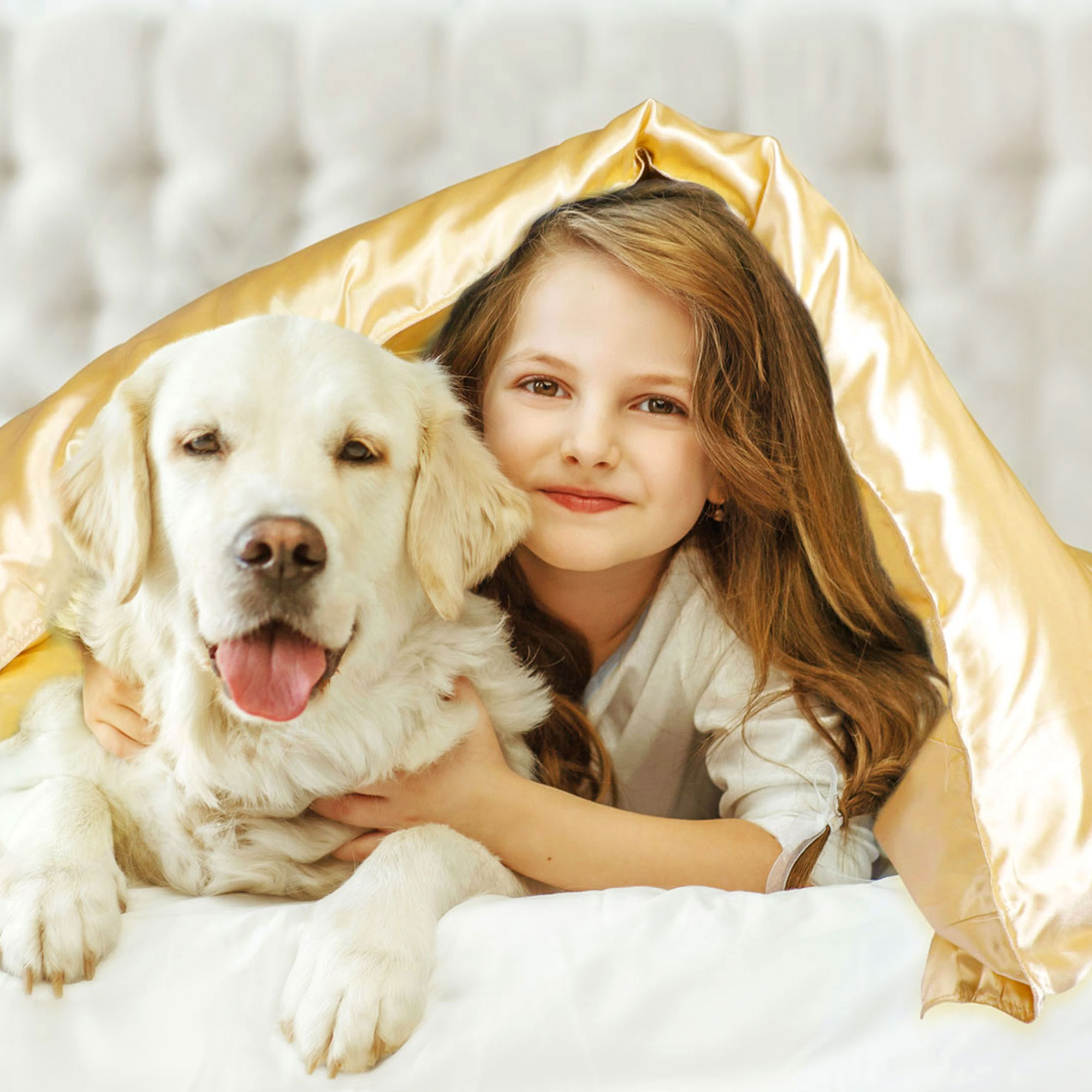 REGALWOVEN 3Pcs Queen Size Duvet Cover Set Silk Satin Bedding Set with 2 Pillowcases, Gold