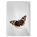thumbnail image 3 of Betsy Drake GT762 Serviette d'Invité Amiral Papillon Rouge, 3 of 4