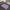 Lavender, variant on Funny Bath Mat 17"x27" Non Slip Quick Dry Super Water Absorbent Modern Oval Blue Bathroom Rug Rubber Backed Washable Thin Bathroom Rugs Fit Under Door