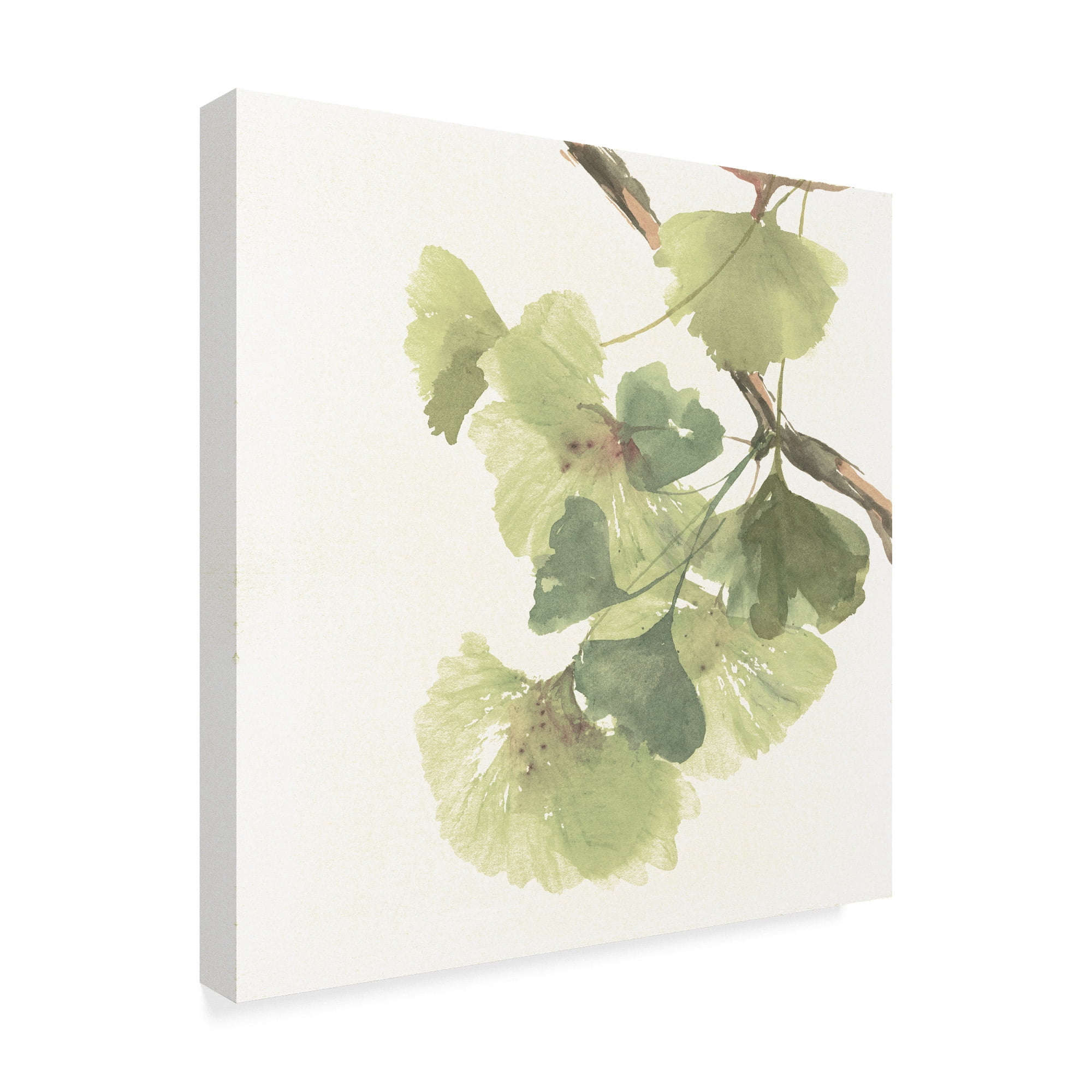 Trademark Fine Art 'Gingko Leaves II on White' Canvas Art by Chris Paschke