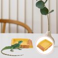 thumbnail image 1 of WEUVEB De Para Reptiles En Resina Color Amarillo Resistente Y Duradero Para Terrarios, 1 of 6