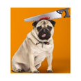 thumbnail image 1 of Fiudx Acentos De Decoración Del Hogar Accesorios De Halloween Espeluznante Halloween Falo Pug Perro tocado Divertido Chopper Sierra Hacha Martillo Vestir Liquidación De Ahorros De Verano, 1 of 7