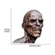thumbnail image 3 of Pegatina Zombi 3D Ndcxsfigh calcomanía de muerte calavera de Halloween estilo coche 2 uds, 3 of 9