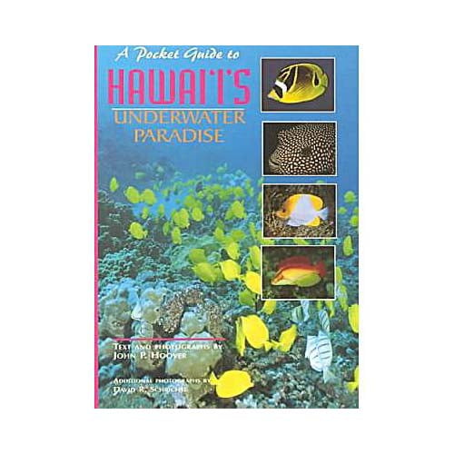 A Pocket Guide to Hawaii's Underwater Paradise