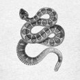 thumbnail image 3 of CafePress - Rattlesnake Kids Light T Shirt - Light T-Shirt Kids XS-XL, 3 of 4