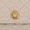 Beige Gold, variant on Versace Medusa Quilted Leather Wallet On Chain