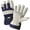Blue and White, variant on West Chester Protective Gear Men's Split Leather Palm Work Glove - Insulated - XL, White