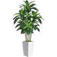 thumbnail image 6 of 6FT Artificial Dracaena Tree Fake Tree Indoor with White Tall Planter Tall Artificial Plants Indoor Artificial Silk Tree for Home Office Decor Housewarming Gift White, 6 of 7