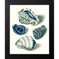 thumbnail image 2 of Vision Studio 15x18 Black Modern Framed Museum Art Print Titled - Celadon Shells I, 2 of 5