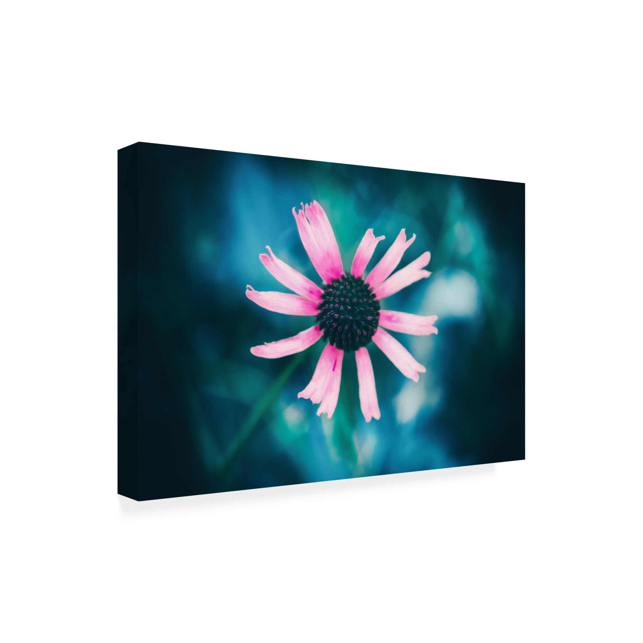 Canvas Wall Art - Ingo Menhard 'Pinky' Wall Art for Living Room, Bedroom, or Office D?cor by Trademark Fine Art - 24 x 16 Inches
