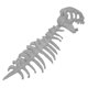 thumbnail image 5 of Disfraz de esqueleto de dinosaurio 3D para Halloween, regalo realista para espectáculos y fiestas. Gris 80 cm, 5 of 9